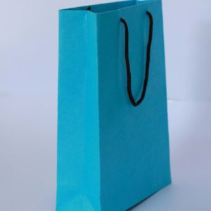 HP Paper Bag (M) plain