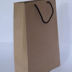 Brown Bags (L) plain