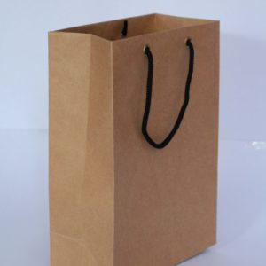 Brown Bags (M) plain